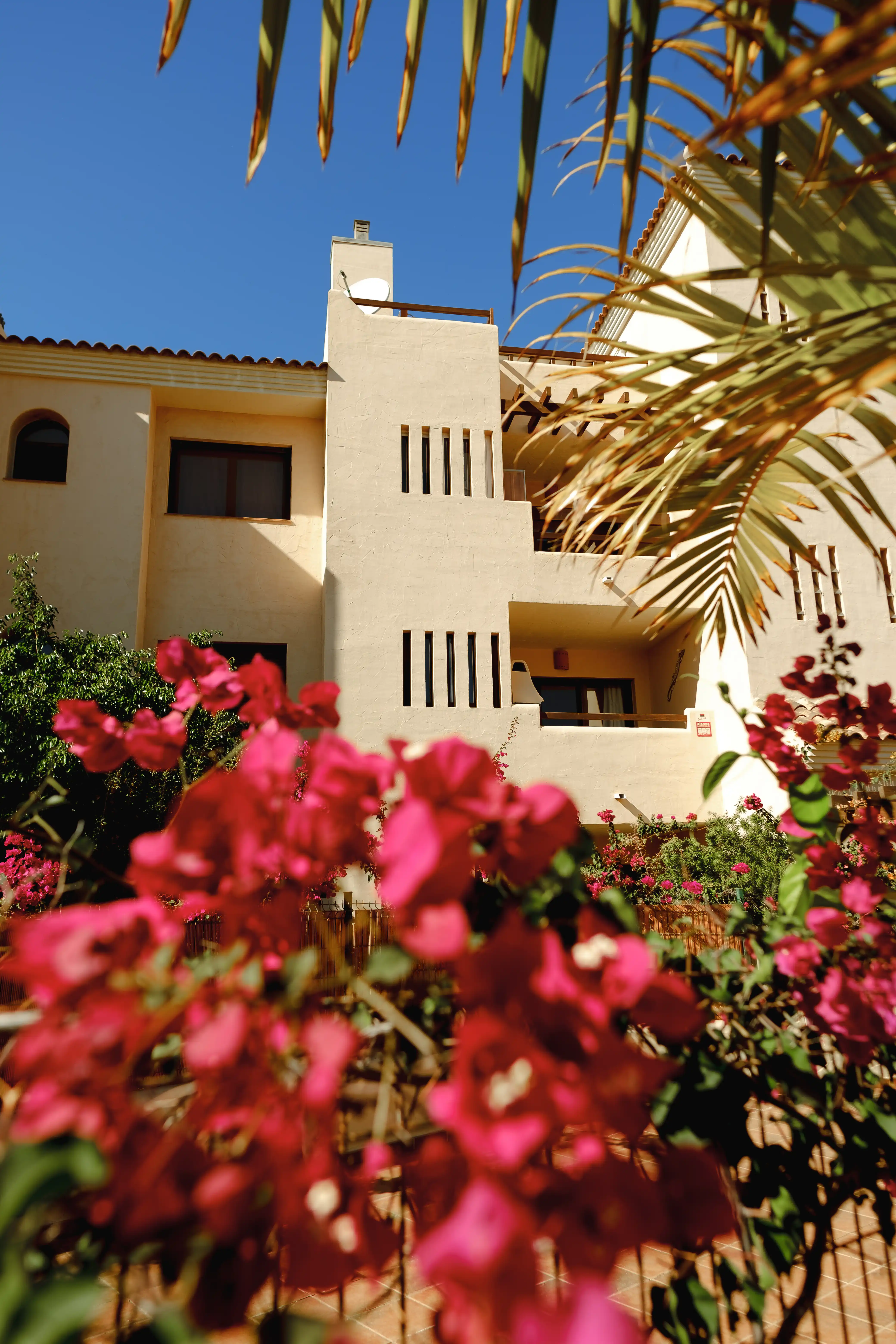Mantenimiento de piscinas en Tenerife