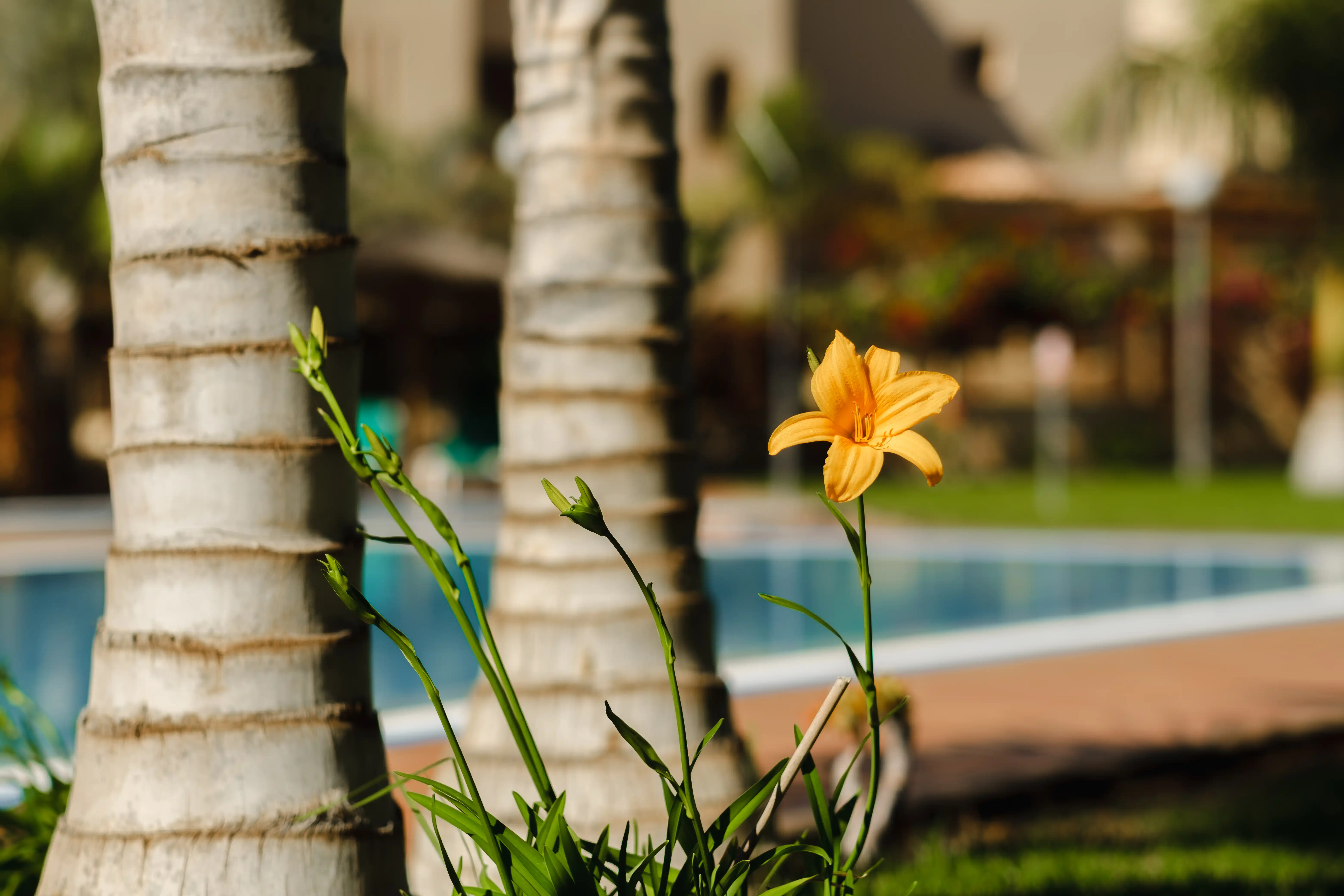 Servicios para comunidades